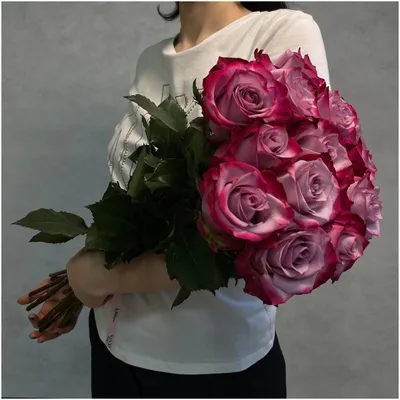Букет из 13 фиолетовых роз сорта ДИП парпл 70см (эквадор) с атласной  лентой. — купить в интернет-магазине по низкой цене на Яндекс Маркете