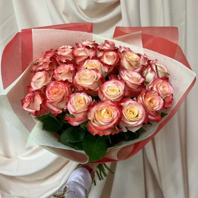 Роза эквадор премиум сорт «cabaret» 40 см - 25 штук, Цветы и подарки в  Иркутске, купить по цене 5842 руб, Монобукеты в Салон Цветов «ТРАВА»  Иркутск с доставкой | FlowWoW