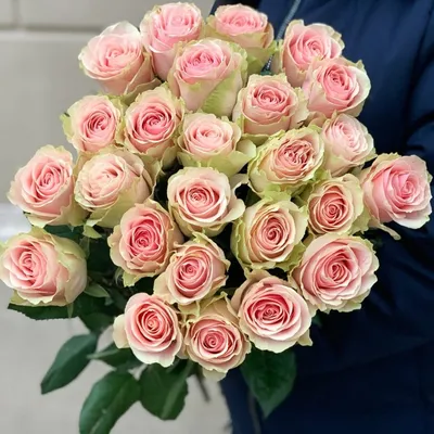 Букет из 25 бело-розовых роз сорт Фрутетто - Купить розы дёшево Эквадор 80  руб. Доставка роз СПб 🌹SPBROSA