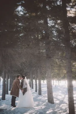 Свадьба зимой. 14 февраля. Любовь. Семья. Невестка. Свадебный образ.  Прогулка на природе. Зимний лес. Образ… | Свадьба в лесу, Зимние свадебные  фото, Зимняя свадьба