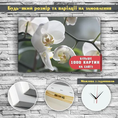 Картина в подарок на холсте ветка нежно белой Орхидеи габарит 60*40  высокого качества от украинского производителя