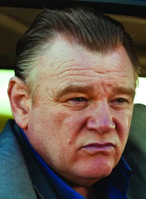 Брендан Глисон (Brendan Gleeson) - актёр - фотографии - голливудские актёры  - Кино-Театр.Ру