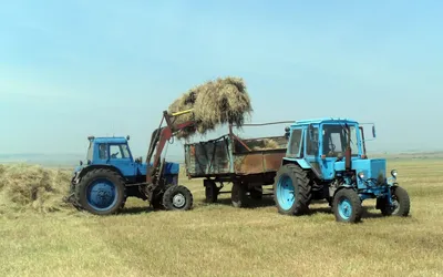 Трактор МТЗ 82: технические характеристики, навесное оборудование (фото,  видео)