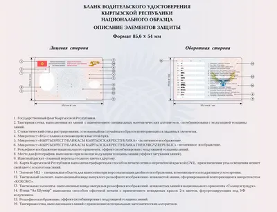 Раздел 2. Обязанности и права водителей механических транспортных средств -  ПДД Украины 2023