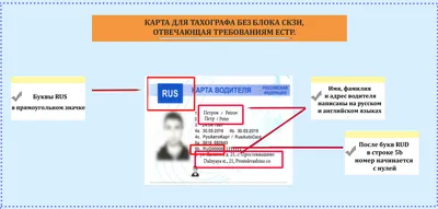 Как различать карты водителя? - ТАХОГРАФ СЕРВИС