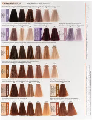 Оттенки Краски Для Волос Matrix – Telegraph