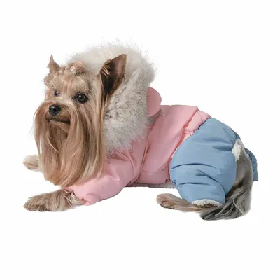 Костюм для собак девочек зимняя одежда Pet Fashion Джуди