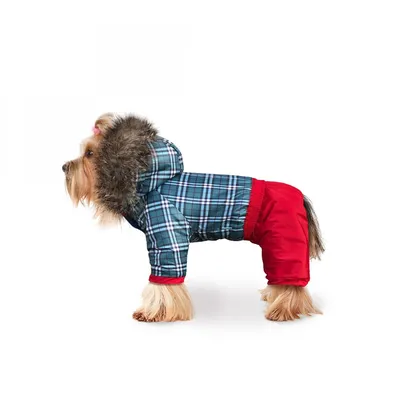 Вязание одежды спицами для мелких собак + схема