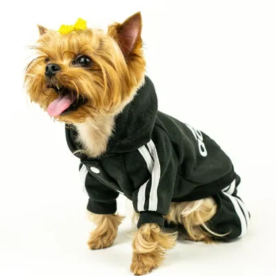 Одежда для собак и животных оптом в интернет-магазине от производителя  ZooTrend
