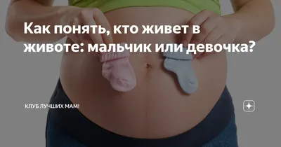 Простая анатомия. Как выглядит ваш малыш пока ждет появления на свет?