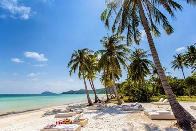 Пляжи Фукуока во Вьетнаме 🌴: какой выбрать для отдыха 🌞