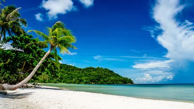 ✈️ Остров Фукуок – райский отдых во Вьетнаме