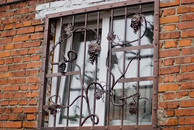 Кованые решетки на окна | ООО Дом-строй групп