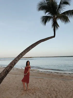 Отдых в Доминикане | Идеи для фото, Пальмы, Отдых