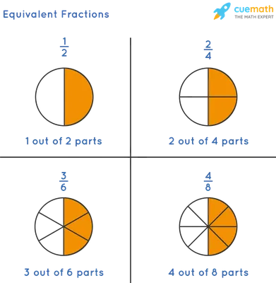 Какая дробь равна 1/2? [Решено]