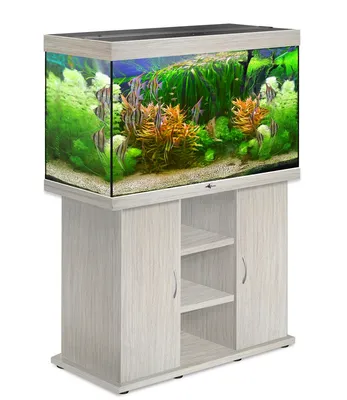 Аквариум Biodesign Риф 200 (185 л): цена, фото, размеры – купить в  интернет-магазине Акватандем