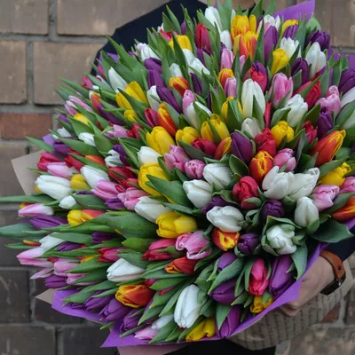 Огромный букет тюльпанов, Flowers \u0026 Gifts Moscow, buy at a price of 40000  RUB, Mono Bouquets on Fashion Flowers with delivery | Flowwow