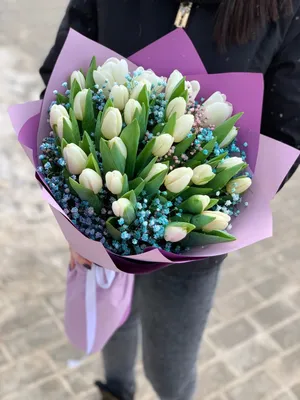 Купить Букет из 25 тюльпанов Т22 в Бресте | Говорящие цветы