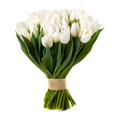Букет тюльпанов без упаковки купить в ТопФло, с быстрой доставкой.