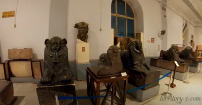 Каирский музей: экспонаты, что посмотреть, стоимость посещения, адрес,  график работы, фото | Territory X
