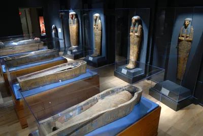 Каирский египетский музей: экспонаты и залы, сокровища Тутанхамона, мумии,  время работы, где находится, экскурсии, фото и описание, цены 2023