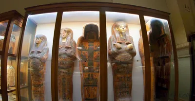 Старые египетские экспонаты из музея древностей египта в Каире Редакционное  Фото - изображение насчитывающей египетско, ссыхаться: 173444726