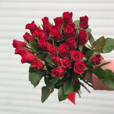 Купить Классическая красная кенийская роза model №687 в Новосибирске