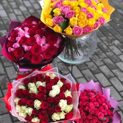 51 кенийская роза, Цветы и подарки в Электростали, купить по цене 3960 руб,  Монобукеты в Флоренция с доставкой | Flowwow