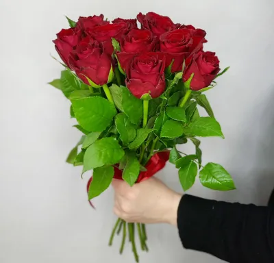 Розы 40см (Кенийские) от 11 шт. доставка в Рязани | Цветырязань.рф