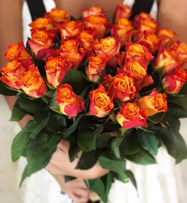 51 кенийская роза Даун Таун от Lotlike.ru. Купить цветы.