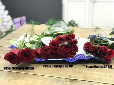 Чем отличаются Эквадорские розы от Кенийских
