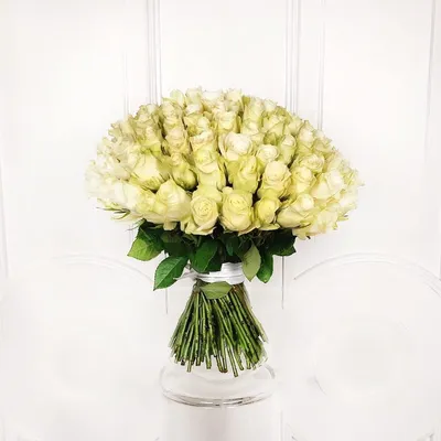 101 роза 50 см | Купить недорого с доставкой по СПб - Newflora