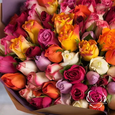 Букет из 101 розы микс Кения - купить в интернет-магазине Цветомания