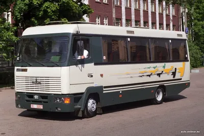 Самые необычные и малоизвестные модели автобусов МАЗ