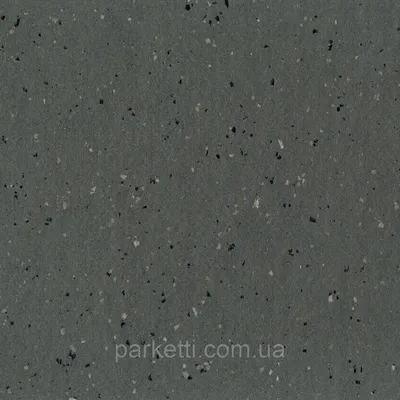 DLW LPX 144-083 light grey Lino Art Star натуральный линолеум: продажа,  цена в Киеве. Линолеум от \"Parketti - паркет, ламинат, виниловая плитка,  пробковые полы, линолеум, террасная доска в Украине\" - 546308276