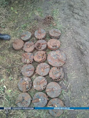 19 магазинов с 1233 патронами, мины и штык-нож времен ВОВ нашли в  Зельвенском районе - NewGrodno.By