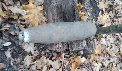 В Дмитриевском и Курском районах обнаружили снаряды времен ВОВ - РИА Курск