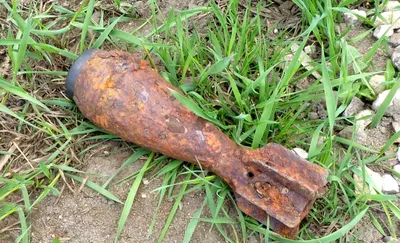 В лесу под Витебском сельчанин обнаружил арсенал боеприпасов времён ВОВ