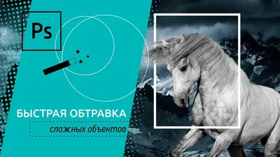 Фотошоп урок. Быстрая обтравка сложных объектов в Фотошопе. Простой способ  - YouTube