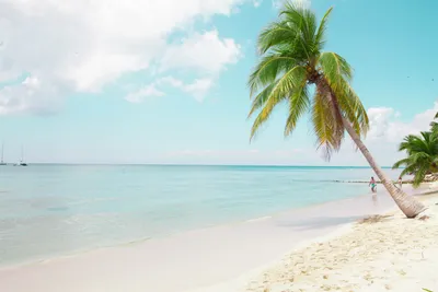 Какой остров 🏝 в Доминикане напоминает Баунти