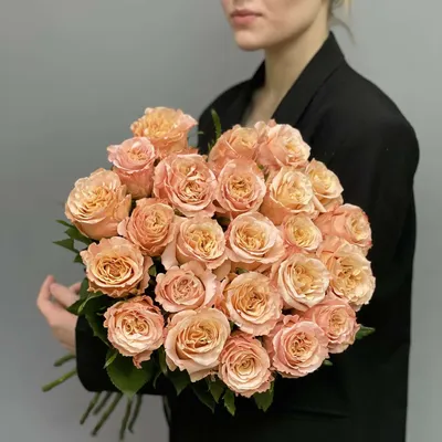Эквадорская/ Голландская розы \u003e Эквадорская роза \"Шиммер\" купить в  интернет-магазине