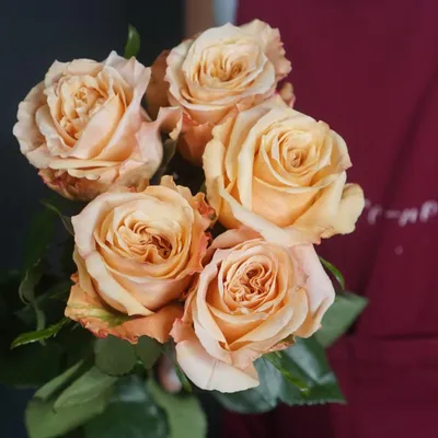 Роза \"Шиммер\" (Эквадор) (Премиум) с доставкой в Новороссийске в интернет  магазине цветов Роз Новоросс
