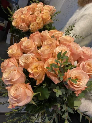 Роза Шиммер (персик) | Магазин цветов с доставкой в Минске