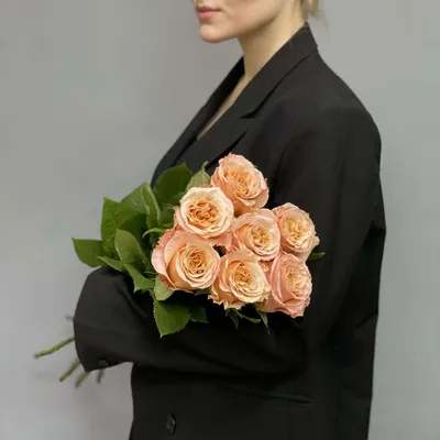 Эквадорская/ Голландская розы \u003e Эквадорская роза \"Шиммер\" купить в  интернет-магазине