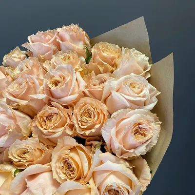Роза пионовидная Шиммер Эквадор, Цветы и подарки в Москве, купить по цене  266 руб, Поштучно в Flowers by soul. Цветочная студия с доставкой | Flowwow