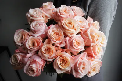 Купить 25 Роз Шиммер 60 см с доставкой в Рязани | АМСТЕРДАМ - Цветы и  подарки