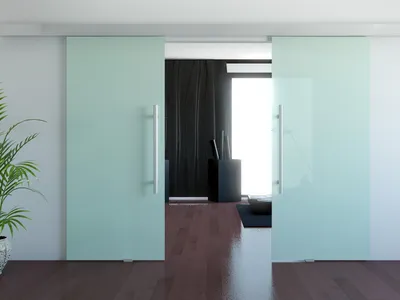 Матовая стеклянная раздвижная межкомнатная дверь - Двери из стекла - Раздвижные  двери - Фотогалерея