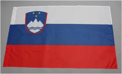 Флаг Словения 90х135, ( флажная сетка, карман слева), юнти — купить в  интернет-магазине по низкой цене на Яндекс Маркете