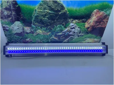 Светильник для аквариума ZelAqua LED синий 600мм, 25вт, 6500К — купить в  интернет-магазине по низкой цене на Яндекс Маркете