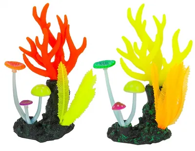 Кораллы для аквариума - купить в интернет-магазине недорого